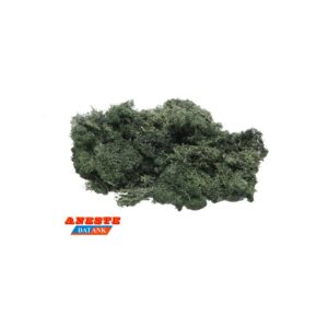 MUSGO DE ISLANDIA VERDE OSCURO. ANESTE 762